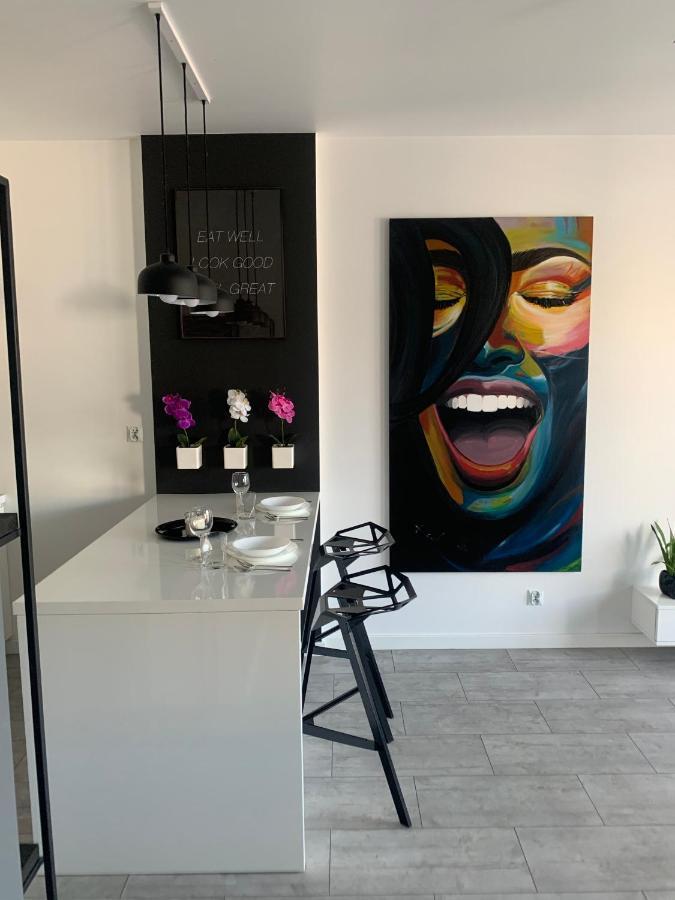 Ekskluzywny Penthouse Z Ogrodem W Centrum Lodzi 外观 照片