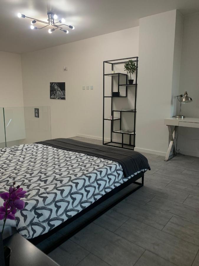 Ekskluzywny Penthouse Z Ogrodem W Centrum Lodzi 外观 照片