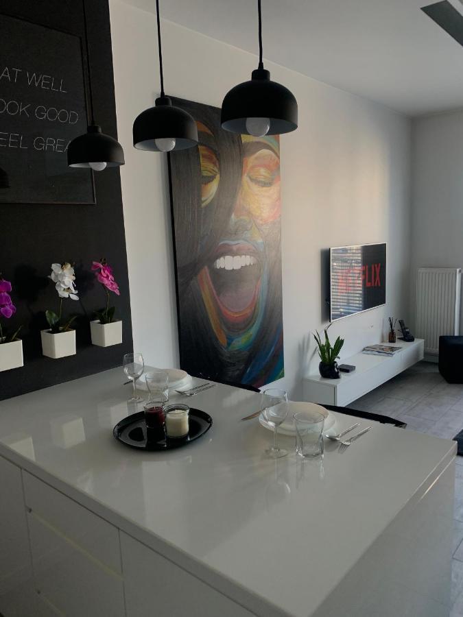 Ekskluzywny Penthouse Z Ogrodem W Centrum Lodzi 外观 照片